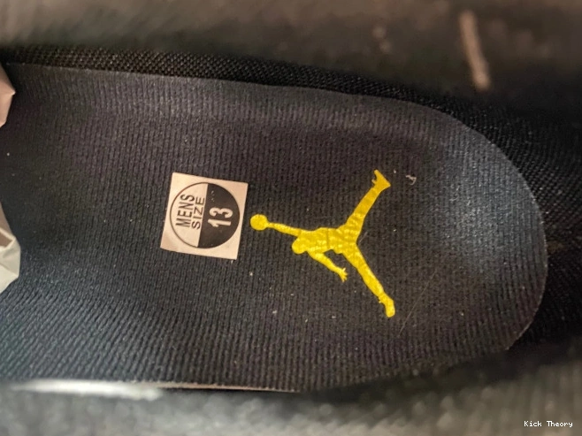 Kicktheory FJ0395-100 Lightning Jordan Low Air 17 0815